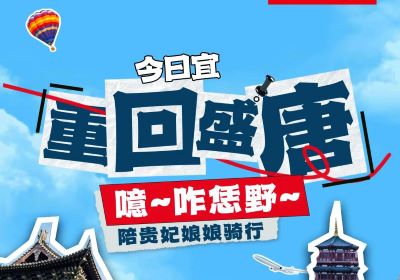 噫~起猛嘞，貴妃娘娘騎著臺鈴來洛陽撒歡了！