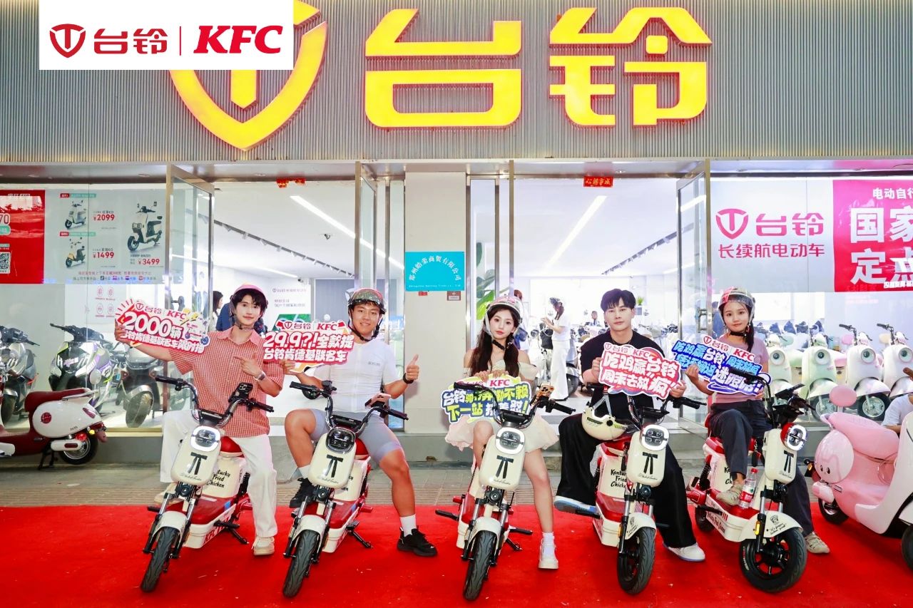 臺鈴長續(xù)航電動車